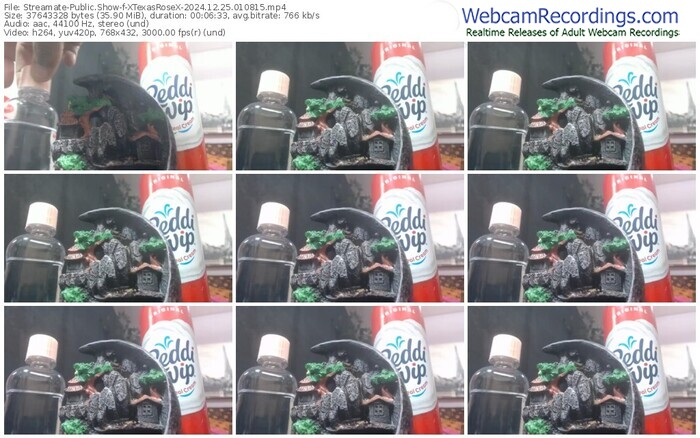 streamate-xtexasrosex-12-25-2024-01-08-15