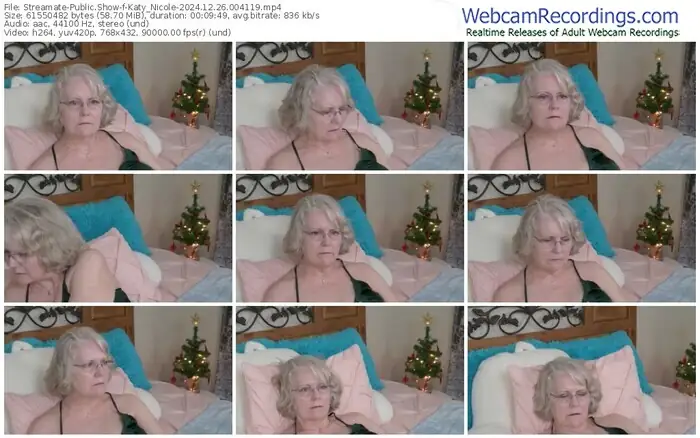 streamate-katy_nicole-12-26-2024-00-41-19