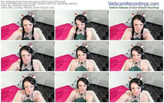 streamate-oceanfoxy-12-26-2024-23-35-16