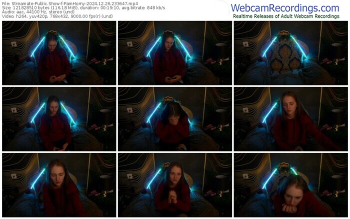 streamate-pamhorny-12-26-2024-23-36-47