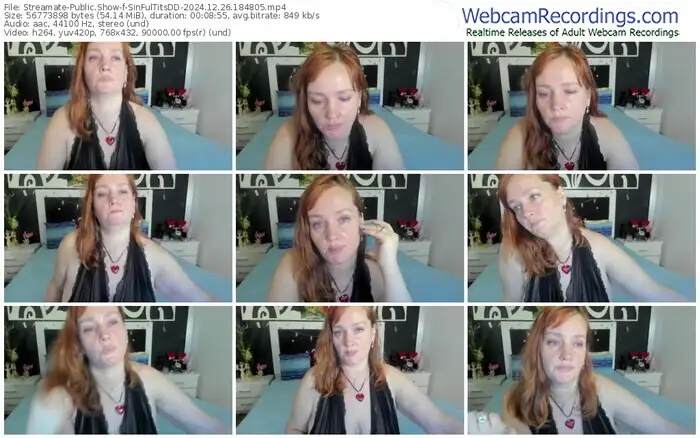 streamate-sinfultitsdd-12-26-2024-18-48-05