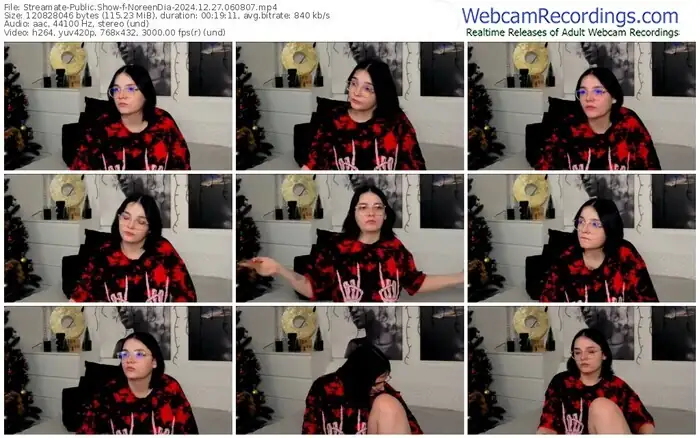 streamate-noreendia-12-27-2024-06-08-07