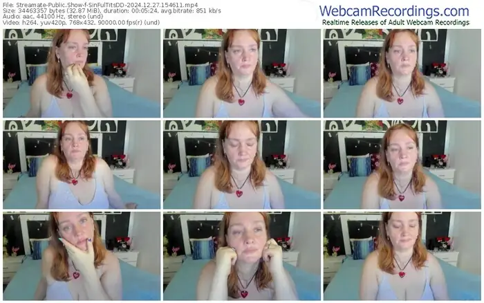 streamate-sinfultitsdd-12-27-2024-15-46-11