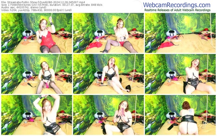 streamate-dyealilbit-12-28-2024-04-50-07