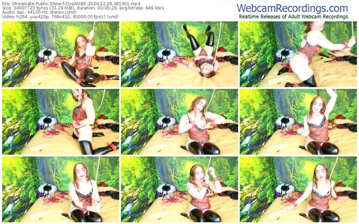 streamate-dyealilbit-12-28-2024-08-19-01