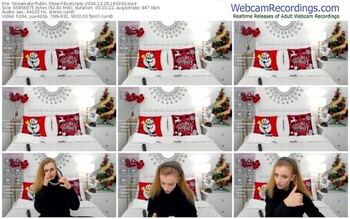 streamate-evelynjey-12-28-2024-18-33-30