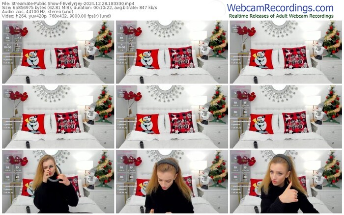 streamate-evelynjey-12-28-2024-18-33-30