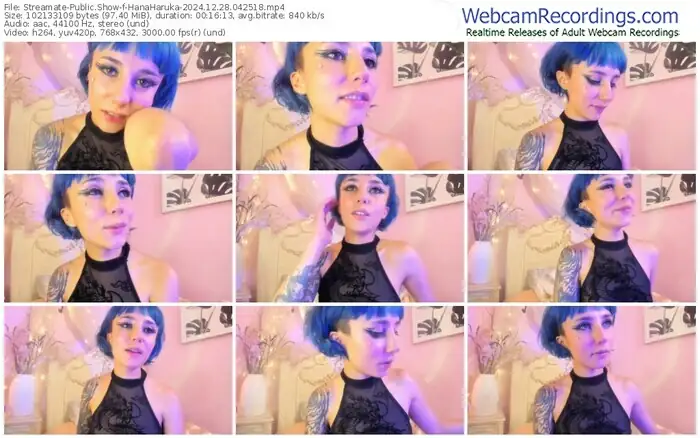 streamate-hanaharuka-12-28-2024-04-25-18