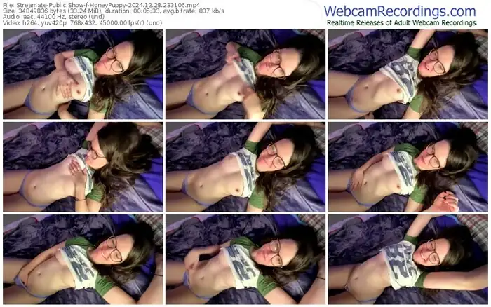 streamate-honeypuppy-12-28-2024-23-31-06