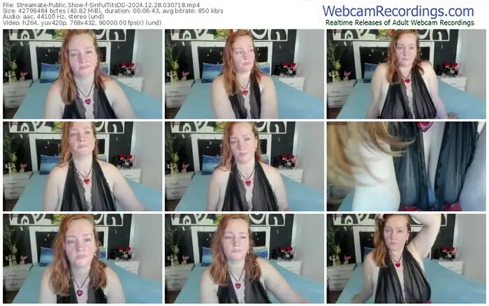 streamate-sinfultitsdd-12-28-2024-03-07-18