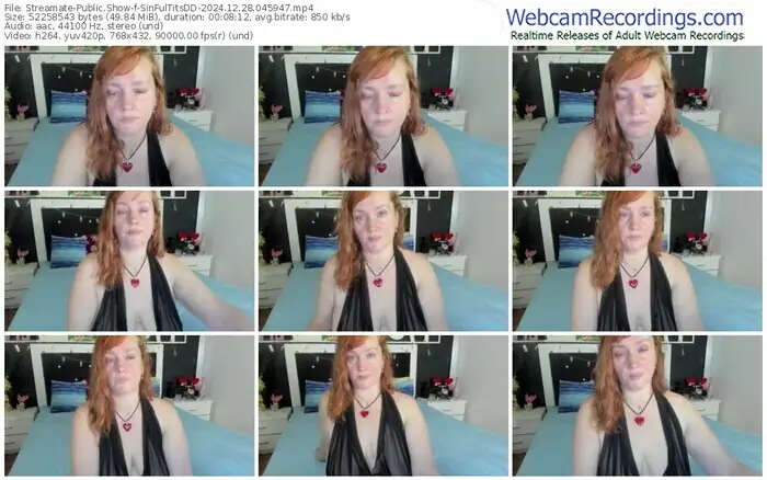 streamate-sinfultitsdd-12-28-2024-04-59-47