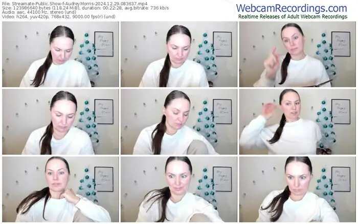 streamate-audreymorris-12-29-2024-08-36-37