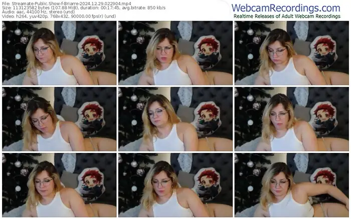 streamate-briarre-12-29-2024-02-29-04