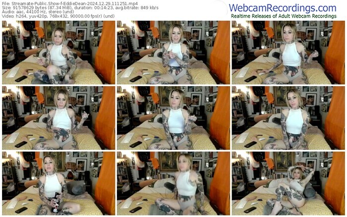 streamate-eddiedean-12-29-2024-11-12-51