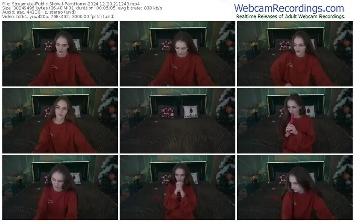 streamate-pamhorny-12-29-2024-21-12-43