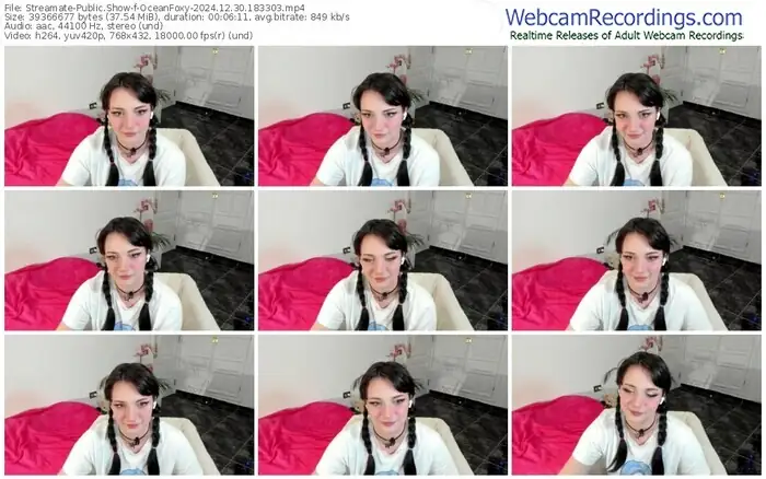 streamate-oceanfoxy-12-30-2024-18-33-03