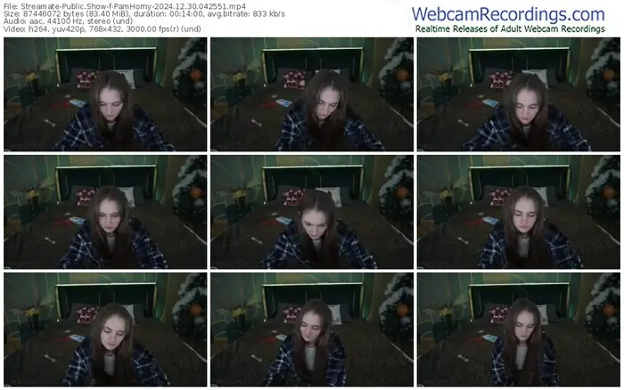 streamate-pamhorny-12-30-2024-04-25-51