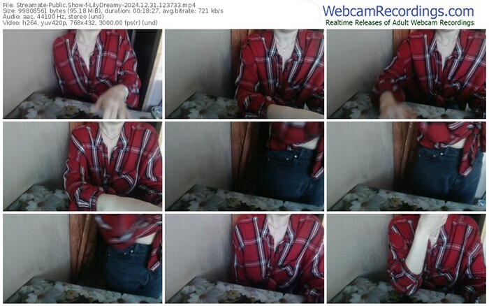 streamate-lilydreamy-12-31-2024-12-37-33