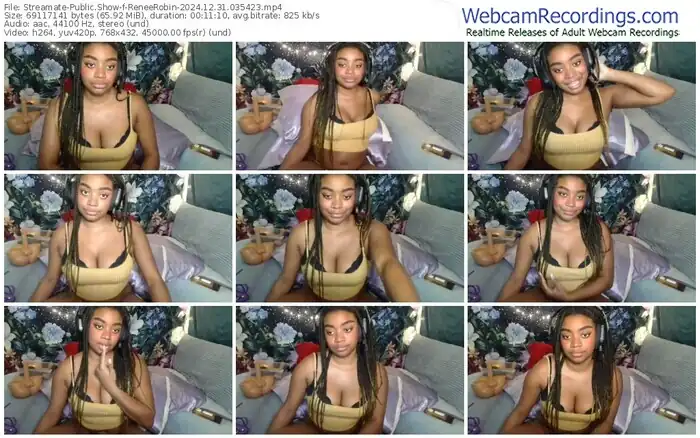 streamate-reneerobin-12-31-2024-03-54-23