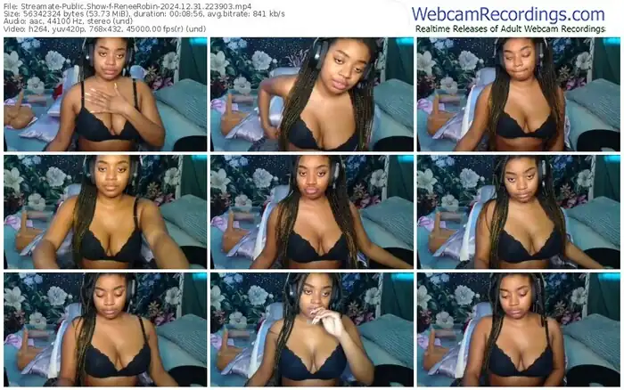 streamate-reneerobin-12-31-2024-22-39-03