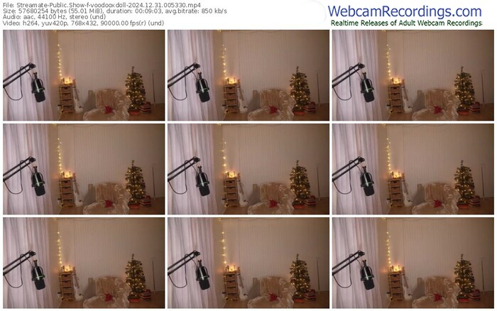 streamate-voodooxdoll-12-31-2024-00-53-30