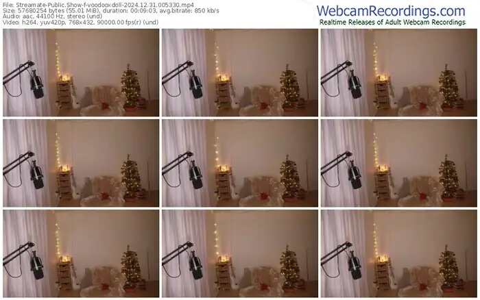 streamate-voodooxdoll-12-31-2024-00-53-30