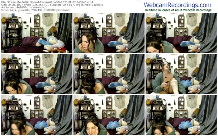 streamate-ravenwillowxo-01-02-2025-04-58-46