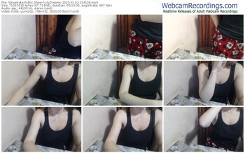 streamate-lilydreamy-01-03-2025-15-41-08