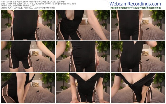 streamate-nikolberry-01-04-2025-09-13-39