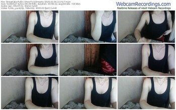 streamate-lilydreamy-01-06-2025-11-15-17