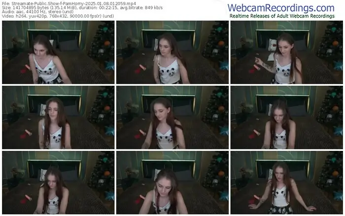 streamate-pamhorny-01-08-2025-01-20-59