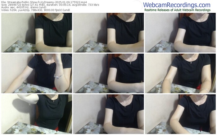 streamate-lilydreamy-01-09-2025-17-55-22