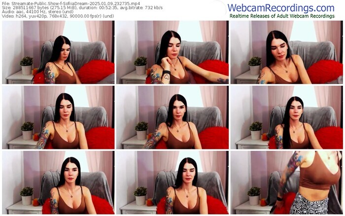 streamate-sofiiadream-01-09-2025-23-27-35