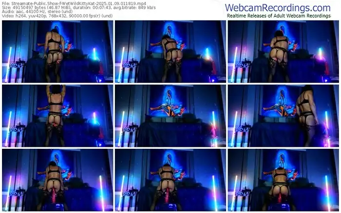 streamate-wetwildkittykat-01-09-2025-01-18-19