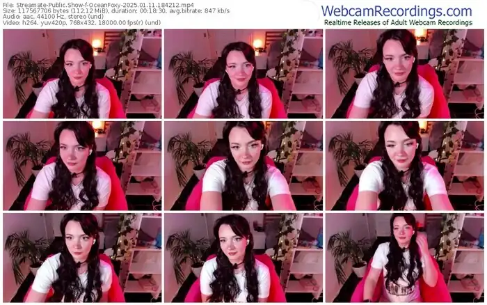 streamate-oceanfoxy-01-11-2025-18-42-12