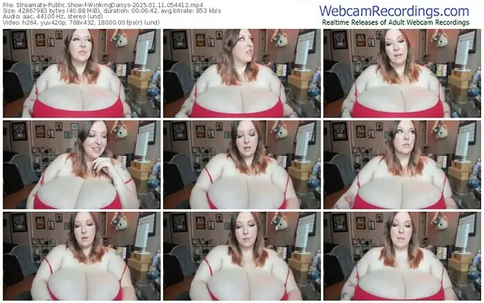 streamate-winkingdaisys-01-11-2025-05-44-12