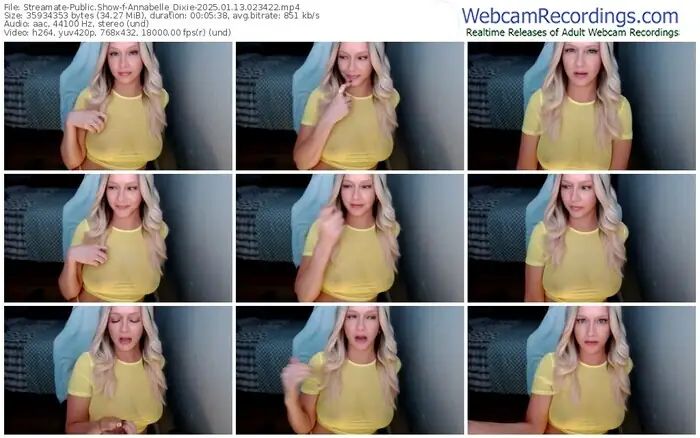 streamate-annabelle_dixie-01-13-2025-02-34-22