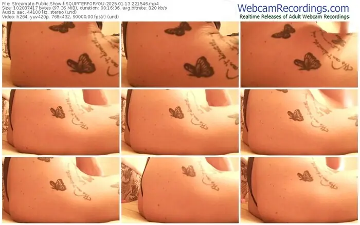 streamate-squirterforyou-01-13-2025-22-15-46