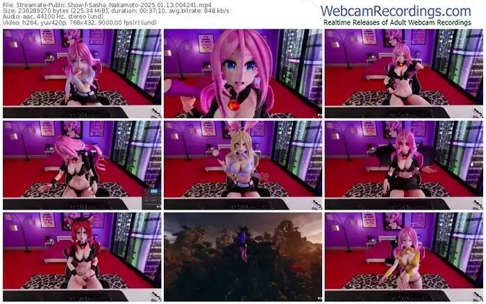 streamate-sasha_nakamoto-01-13-2025-00-42-41