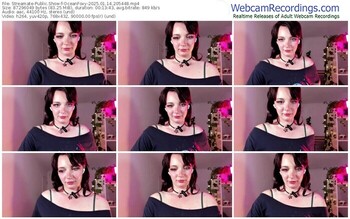 streamate-oceanfoxy-01-14-2025-20-54-48