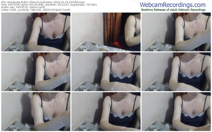 streamate-lilydreamy-01-16-2025-19-03-50