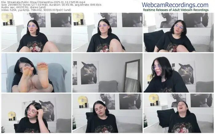 streamate-noreendia-01-16-2025-15-45-36