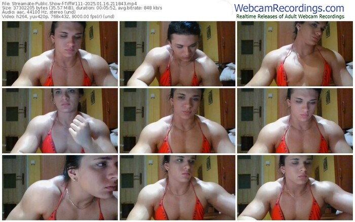 streamate-tiffw111-01-16-2025-21-18-43