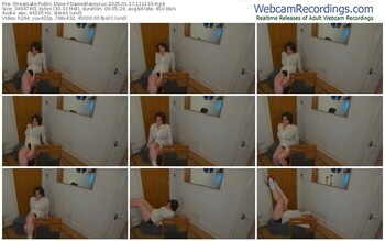 streamate-dameblazeylux-01-17-2025-11-11-33