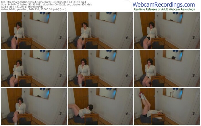 streamate-dameblazeylux-01-17-2025-11-11-33