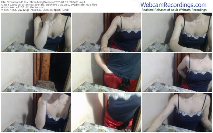 streamate-lilydreamy-01-17-2025-21-04-31