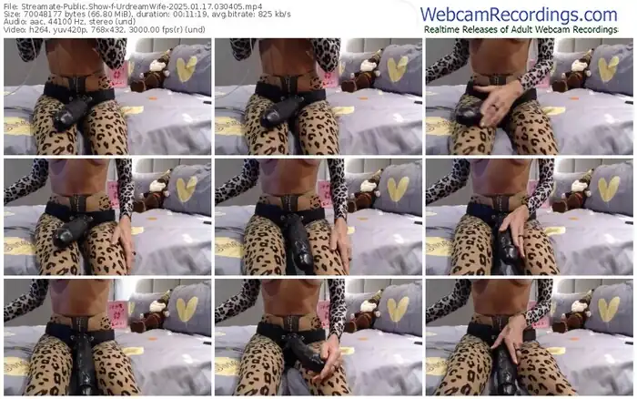 streamate-urdreamwife-01-17-2025-03-04-05