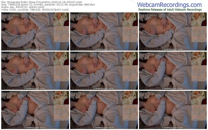 streamate-vixenminx-01-18-2025-23-52-07
