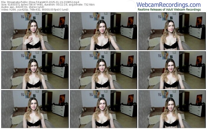 streamate-karawill-01-19-2025-23-38-52