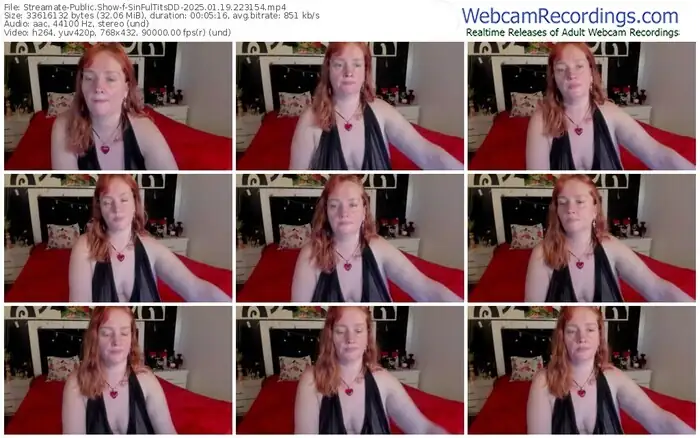 streamate-sinfultitsdd-01-19-2025-22-31-54